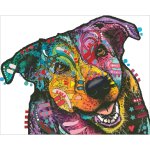 Colorful Mix (image for) Colorful Mix